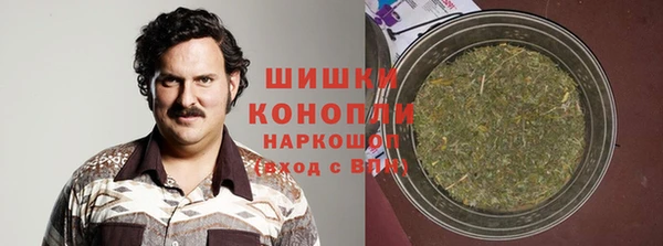 apvp Алзамай