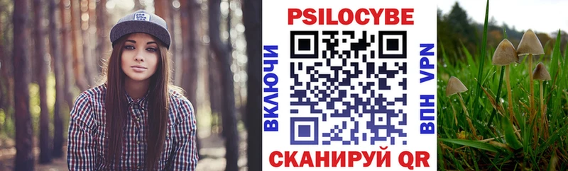 Галлюциногенные грибы GOLDEN TEACHER  Юрьев-Польский 